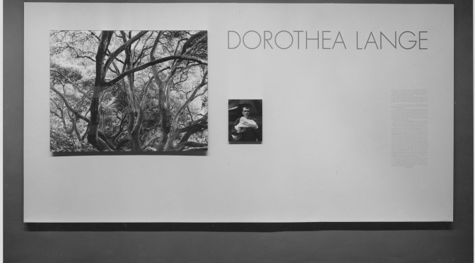 Museum of Modern Art ONLINE Exhibit: Dorothea Lange: Words & Pictures