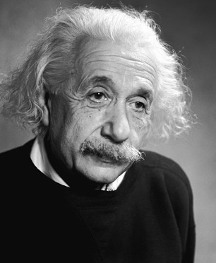 Photography of Fred Stein