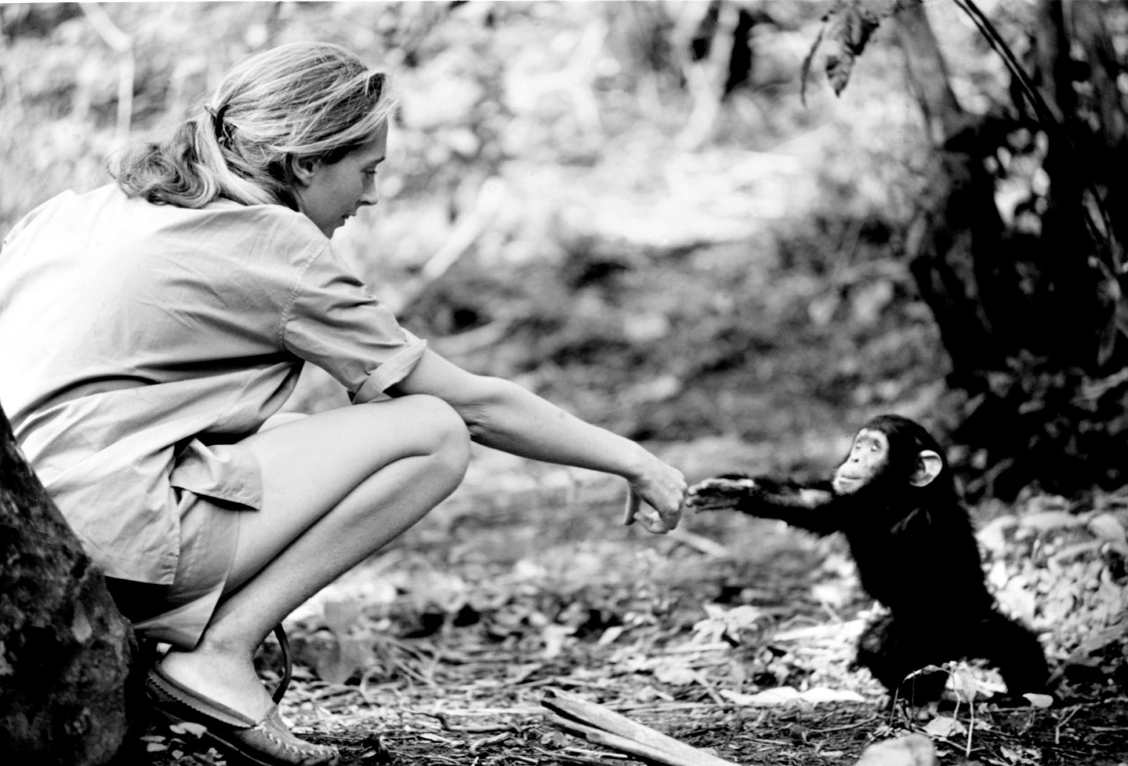 I Was Here.: Jane Goodall