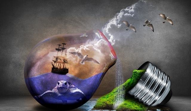 Human Solidarity and Nature Conservation