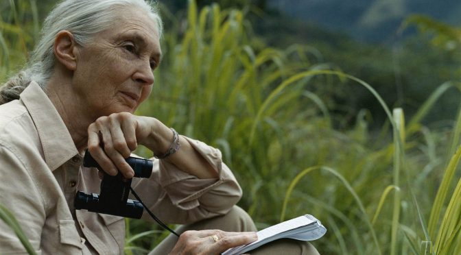 Jane Goodall Receives 2021 Templeton Prize